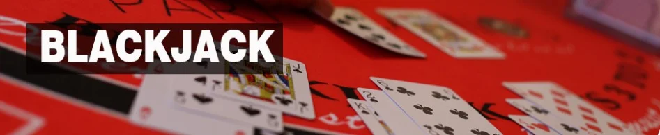 Fun Casino Blackjack, Blackjack table