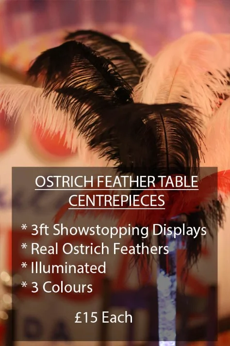 Ostrich Feather Table Displays
