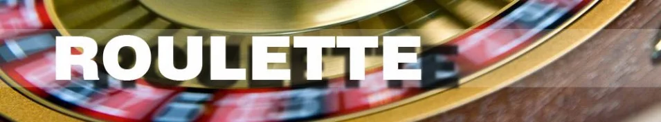 Fun Casino Roulette, Party Themes Fun Casino Roulette Table
